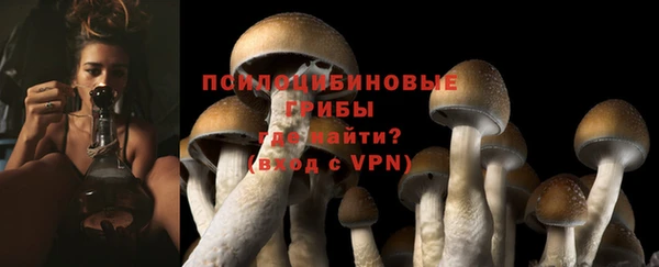 2c-b Богородицк