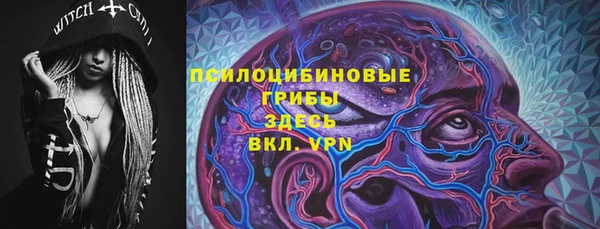 2c-b Богородицк