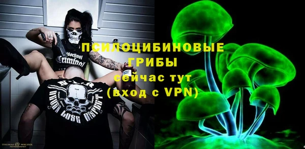 прущие грибы Богородск