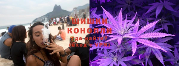 прущие грибы Богородск