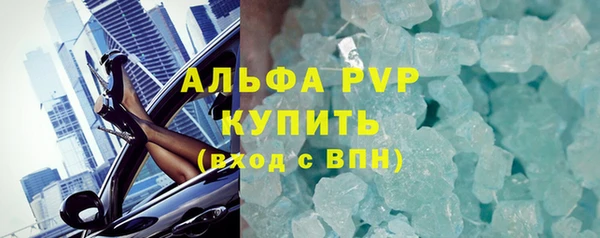 прущие грибы Богородск